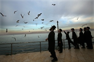 Sea of Galilee, 2008; color photograph by Rina Castelnuovo Courtesy Andrea Meislin Gallery