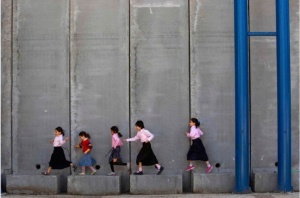 Growing Under Concrete, photograph (28 x 42), by Dan Keinan Courtesy: Terror: Artists Respond